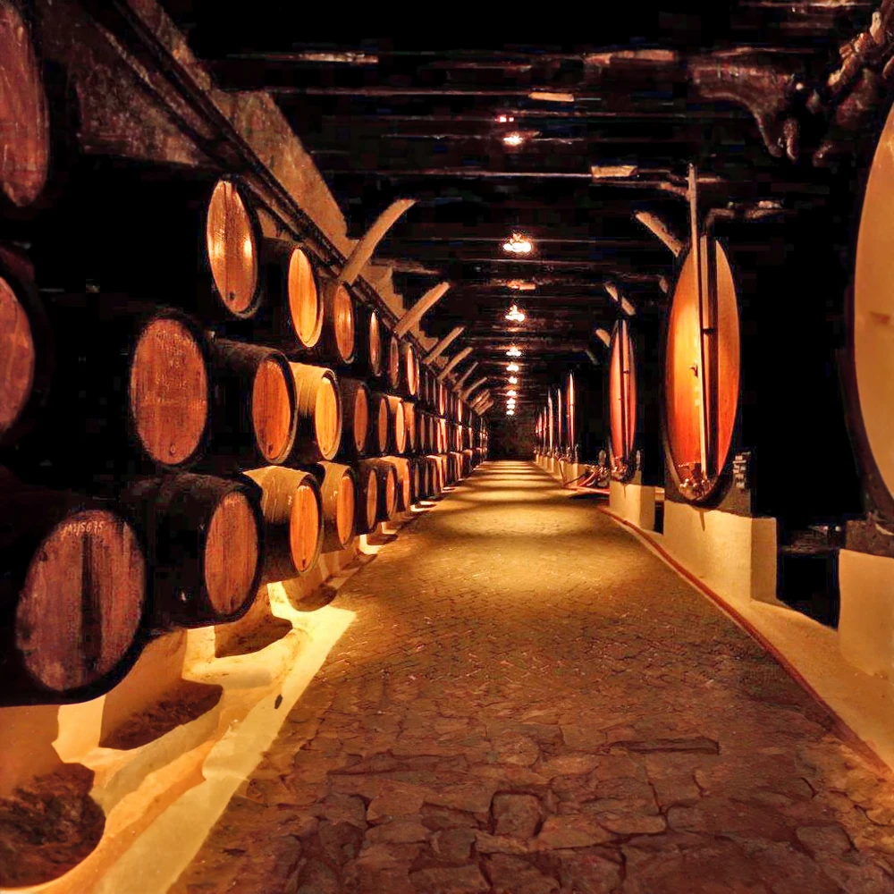 caves-vinho-porto